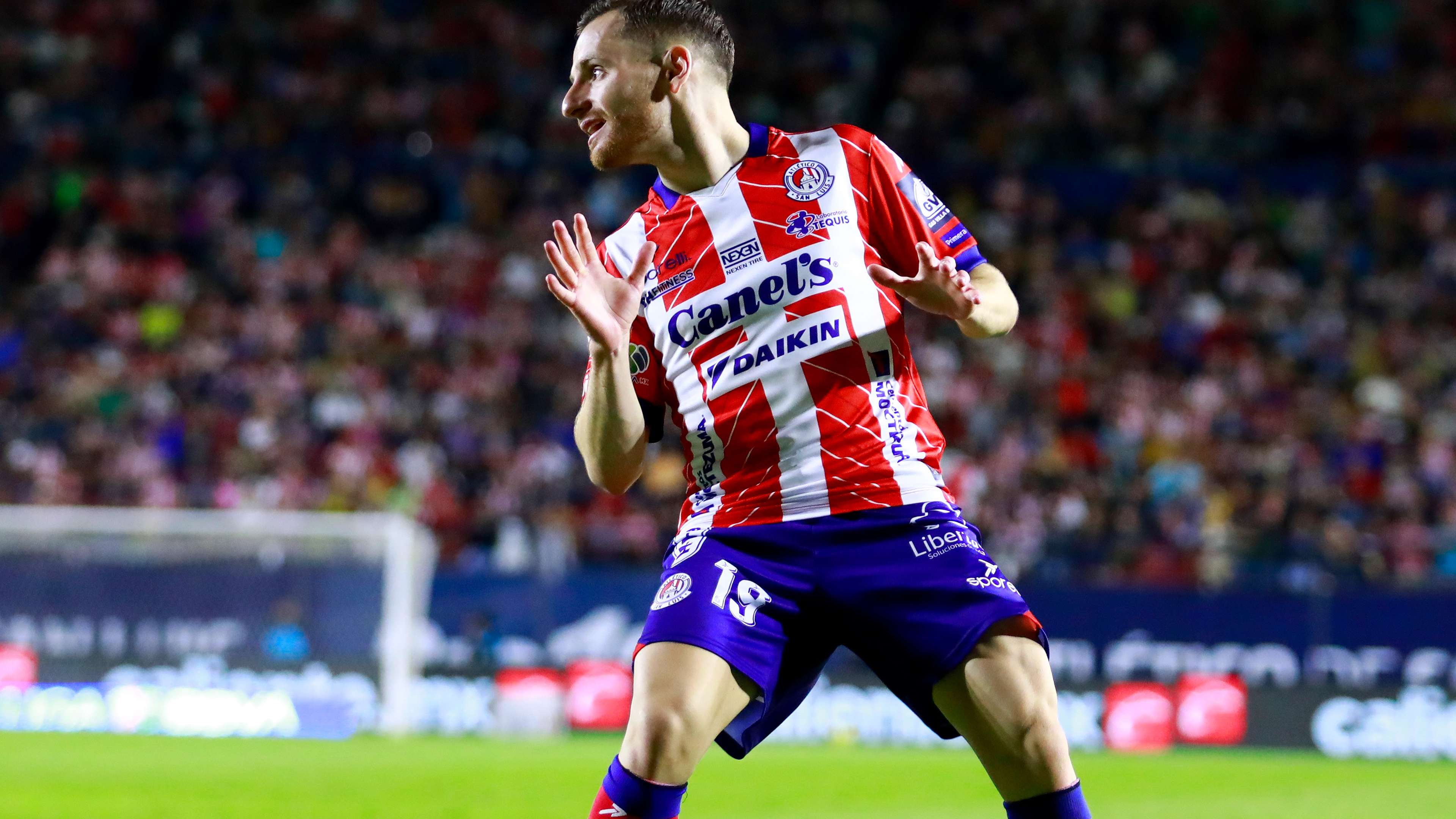 迪玛利亚的 迪玛利亚的