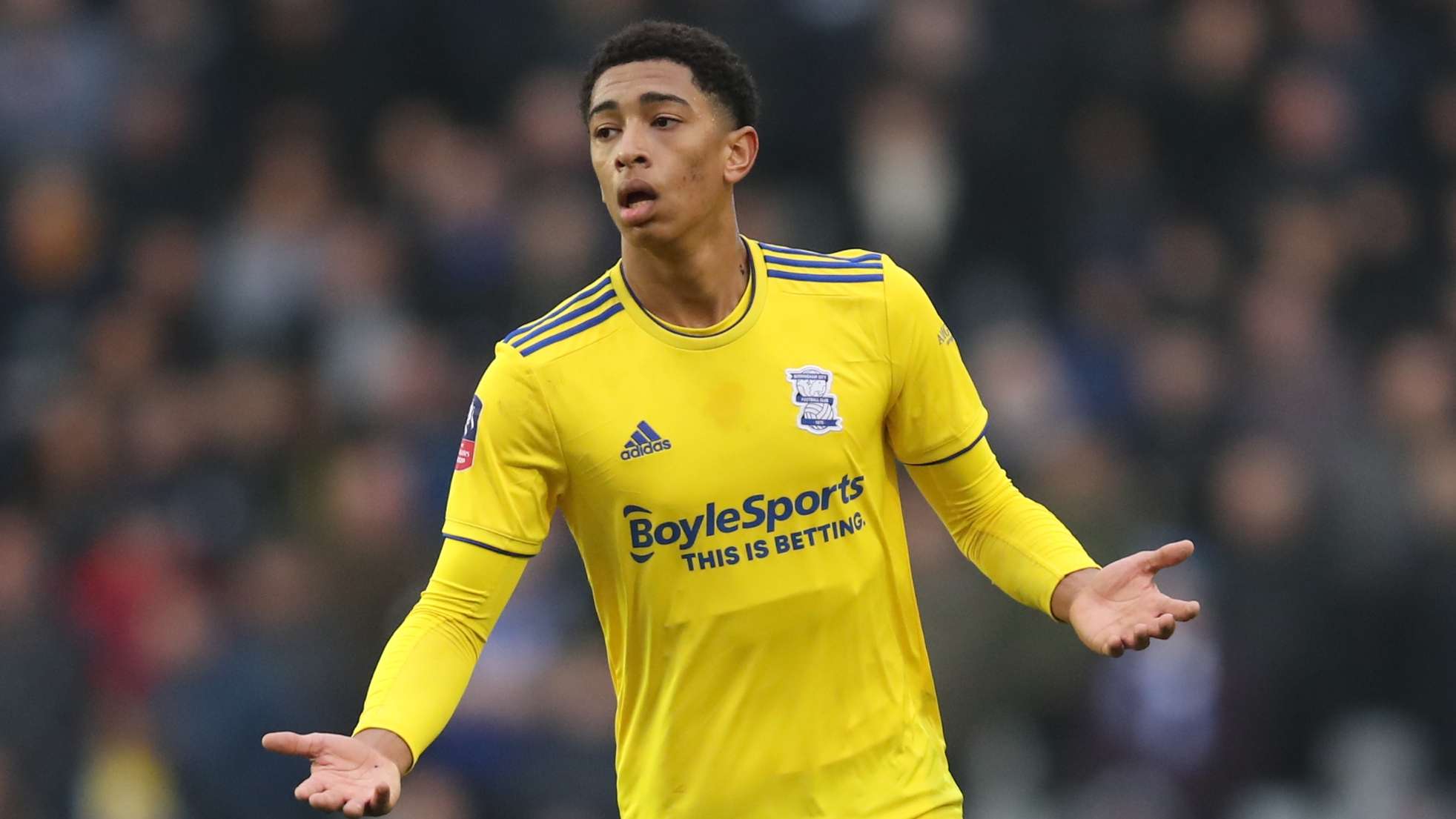 带你了解活 带你了解活