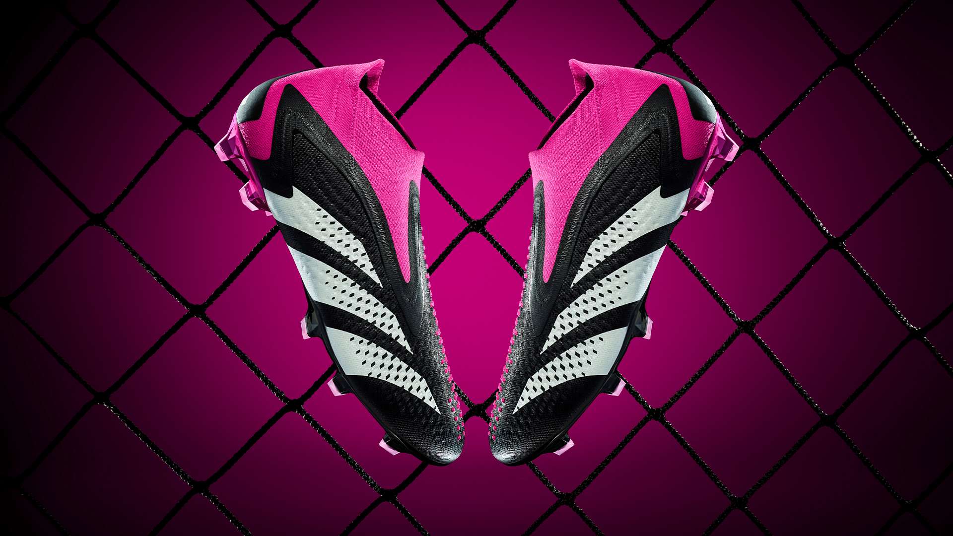 吸取教训 吸取教训